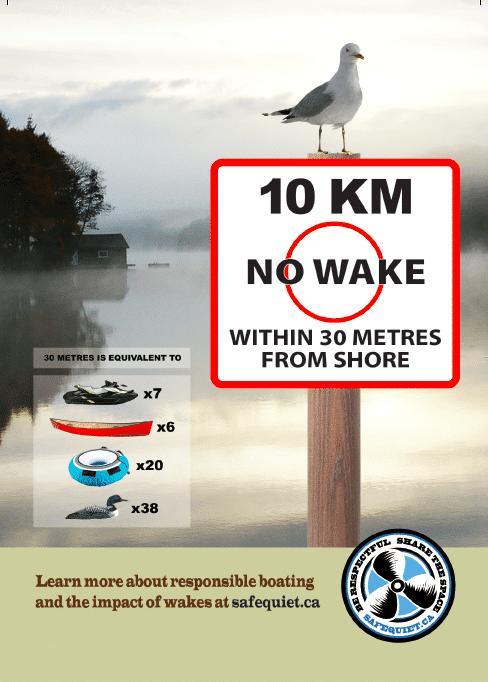 10km-Seagull-Front
